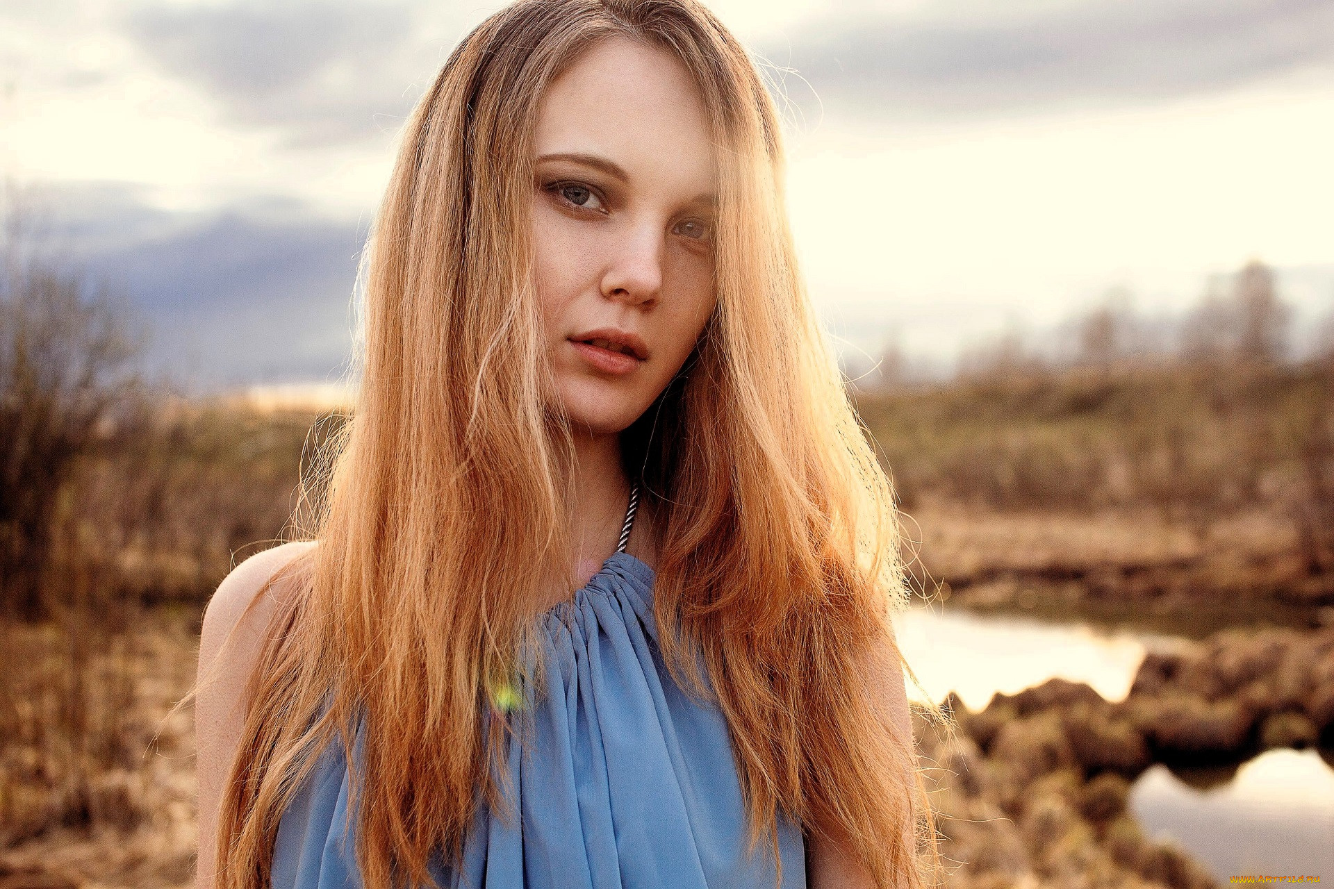 �������, ����� ���������, ���������, ����, ������, �������, �����